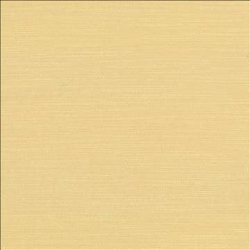 Luxe Bone by Kasmir Designer Fabric 1447 88% Rayon 12% Polyester USA 21,000 Wyzenbeek Double Rubs H: N/A, V: N/A 54 - Swanky Fabrics - Kasmir