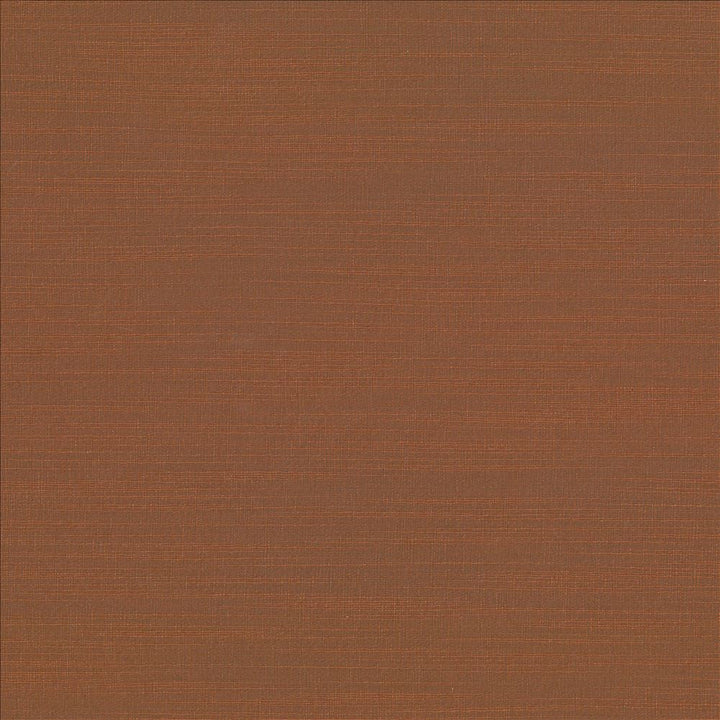 Luxe Clay by Kasmir Designer Fabric 1447 88% Rayon
12% Polyester
 USA </p><p>Repeat: Horizontal: N/A and Vertical: N/A 54 - Swanky Fabrics -