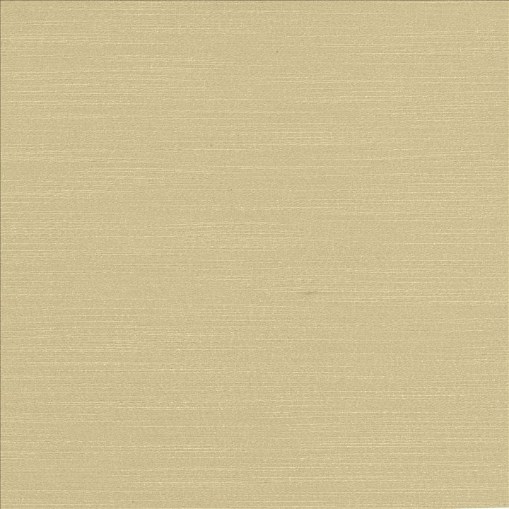 Luxe Dove  by Kasmir Designer Fabric 1447 88% Rayon
12% Polyester
 USA 21,000 Wyzenbeek Double Rubs Horizontal: N/A and Vertical: N/A 54  - Swanky Fabrics -