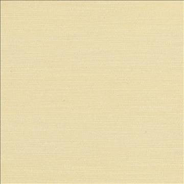 Luxe Ecru by Kasmir Designer Fabric 1447 88% Rayon 12% Polyester USA 21,000 Wyzenbeek Double Rubs H: N/A, V: N/A 54 - Swanky Fabrics - Kasmir