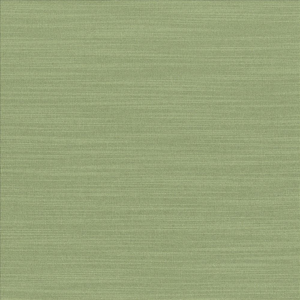 Luxe Jade by Kasmir Designer Fabric 1447 88% Rayon
12% Polyester
 USA </p><p>Repeat: Horizontal: N/A and Vertical: N/A 54 - Swanky Fabrics -