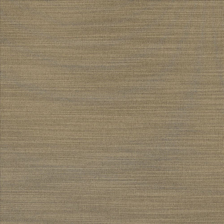 Luxe Nickel by Kasmir Designer Fabric 1447 88% Rayon
12% Polyester
 USA </p><p>Repeat: Horizontal: N/A and Vertical: N/A 54 - Swanky Fabrics -
