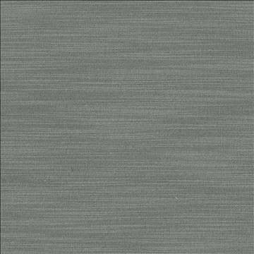 Luxe Pewter by Kasmir Designer Fabric 1447 88% Rayon 12% Polyester USA 21,000 Wyzenbeek Double Rubs H: N/A, V: N/A 54 - Swanky Fabrics - Kasmir