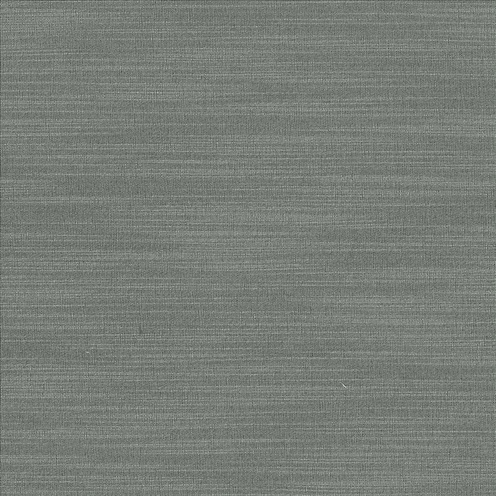 Luxe Pewter by Kasmir Designer Fabric 1447 88% Rayon
12% Polyester
 USA </p><p>Repeat: Horizontal: N/A and Vertical: N/A 54 - Swanky Fabrics -