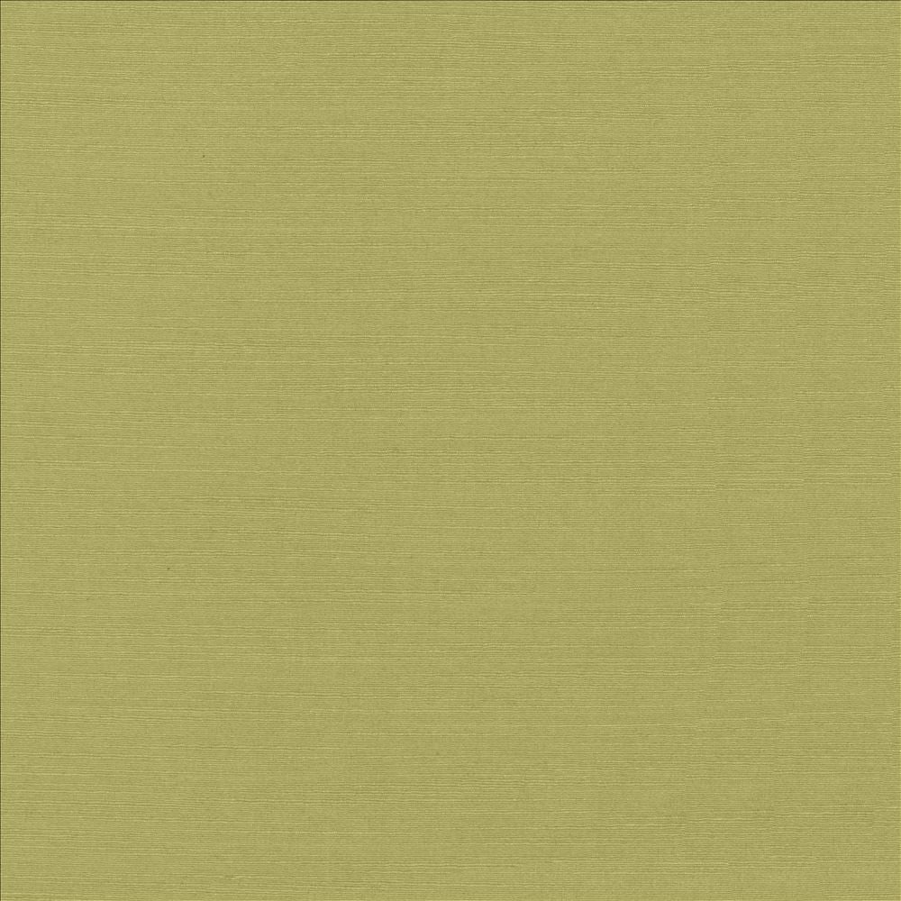Luxe Pistachio by Kasmir Designer Fabric 1447 88% Rayon
12% Polyester
 USA </p><p>Repeat: Horizontal: N/A and Vertical: N/A 54 - Swanky Fabrics -