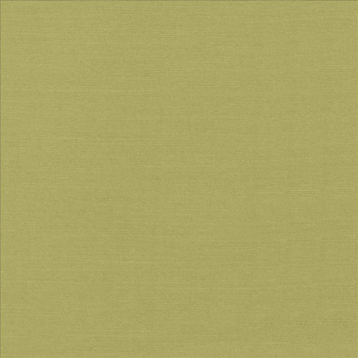 Luxe Pistachio by Kasmir Designer Fabric 1447 88% Rayon 12% Polyester USA 21,000 Wyzenbeek Double Rubs Horizontal: 0 Inches and Vertical: 0 Inches 54 - Swanky Fabrics -