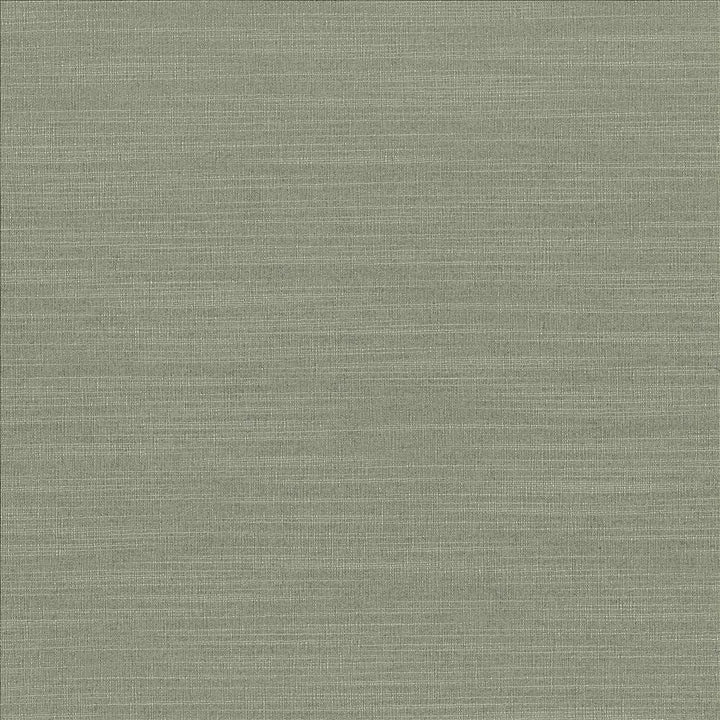 Luxe Spruce by Kasmir Designer Fabric 1447 88% Rayon
12% Polyester
 USA 21,000 Wyzenbeek Double Rubs </p><p>Repeat: Horizontal: N/A and Vertical: N/A 54 - Swanky Fabrics -