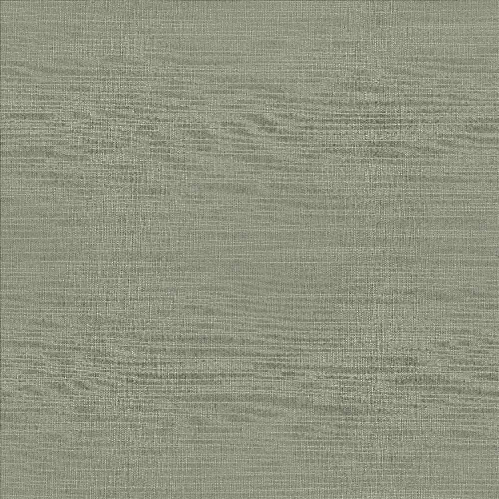 Luxe Spruce by Kasmir Designer Fabric 1447 88% Rayon 12% Polyester USA 21,000 Wyzenbeek Double Rubs Horizontal: 0 Inches and Vertical: 0 Inches 54 - Swanky Fabrics -