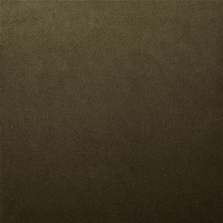 Lyndhurst Caper  by Kasmir Designer Fabric 5158 100% Polyester
 CHINA 100,000 Wyzenbeek Double Rubs Horizontal: N/A and Vertical: N/A 54  - Swanky Fabrics -