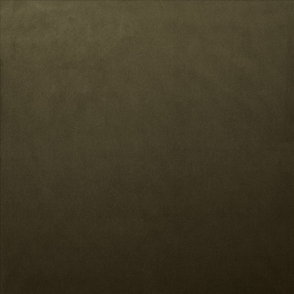 Lyndhurst Caper by Kasmir Designer Fabric 5158 100% Polyester
 CHINA </p><p>Repeat: Horizontal: N/A and Vertical: N/A 54 - Swanky Fabrics -