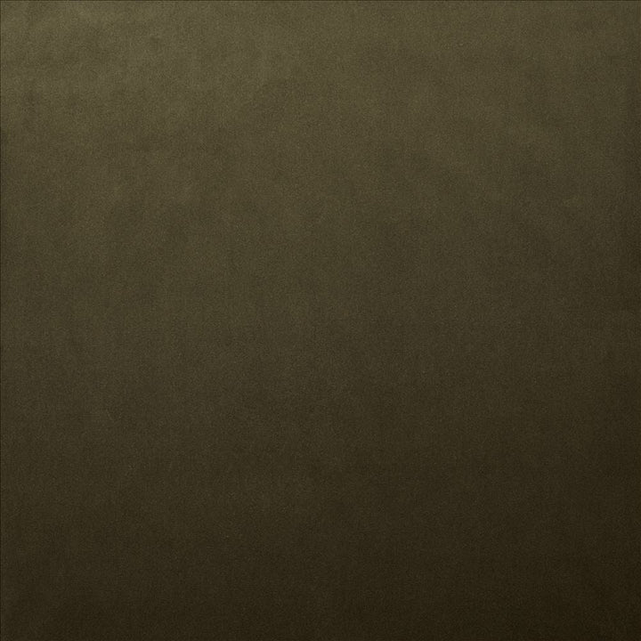 Lyndhurst Caper by Kasmir Designer Fabric 5158 100% Polyester
 CHINA </p><p>Repeat: Horizontal: N/A and Vertical: N/A 54 - Swanky Fabrics -