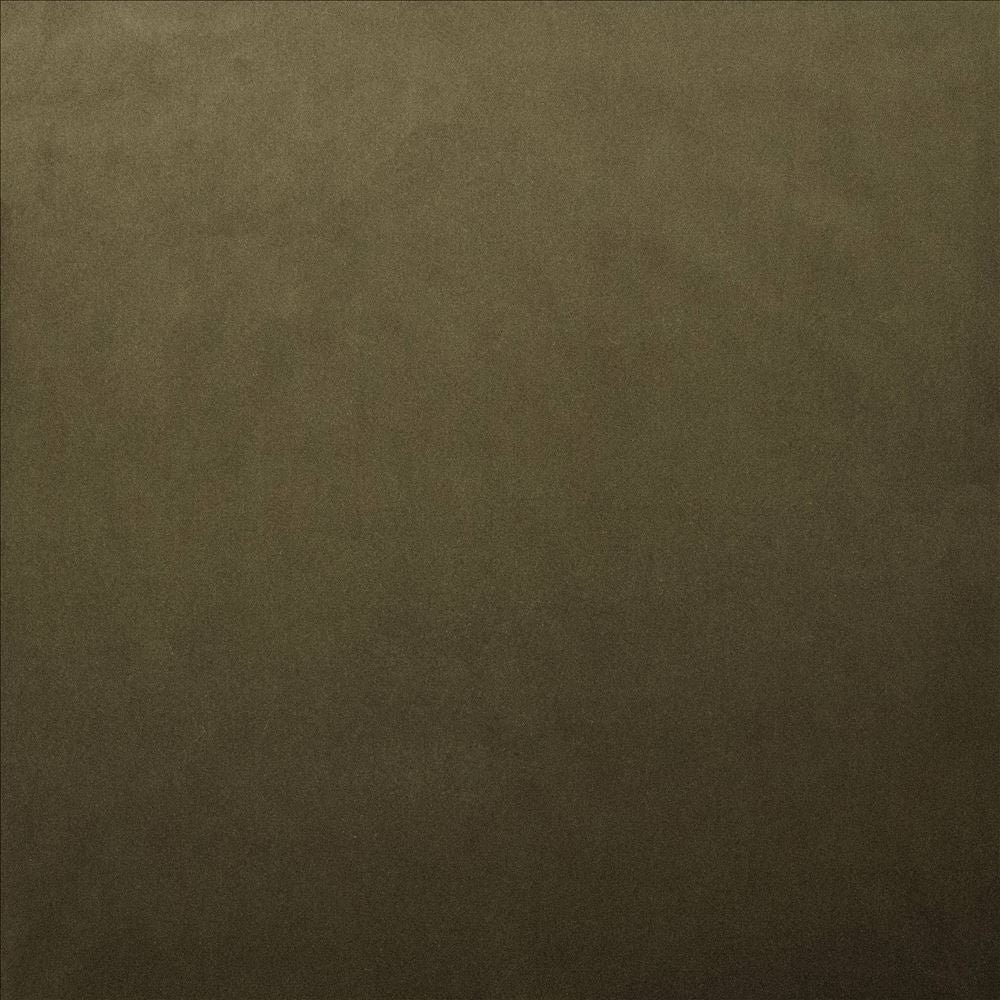 Lyndhurst Caper by Kasmir Designer Fabric 5158 100% Polyester CHINA 100,000 Wyzenbeek Double Rubs Horizontal: 0 Inches and Vertical: 0 Inches 54 - Swanky Fabrics -