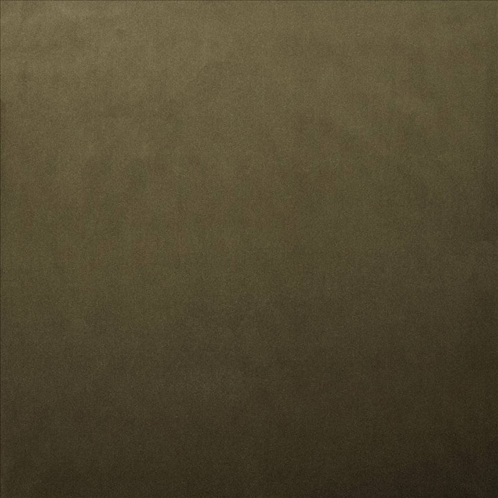 Lyndhurst Caper by Kasmir Designer Fabric 5158 100% Polyester CHINA 100,000 Wyzenbeek Double Rubs Horizontal: 0 Inches and Vertical: 0 Inches 54 - Swanky Fabrics -