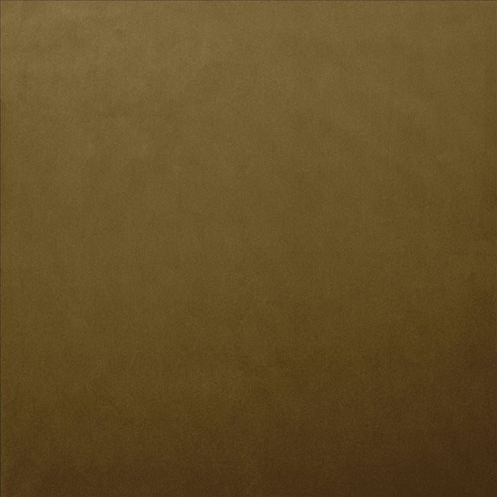 Lyndhurst Ecru  by Kasmir Designer Fabric 5158 100% Polyester
 CHINA 100,000 Wyzenbeek Double Rubs Horizontal: N/A and Vertical: N/A 54  - Swanky Fabrics -