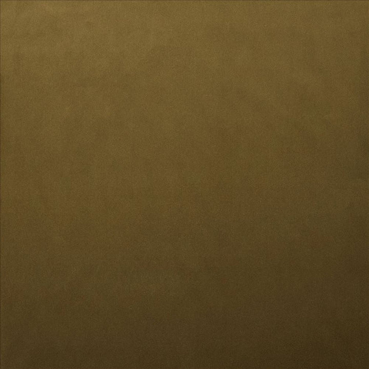 Lyndhurst Ecru by Kasmir Designer Fabric 5158 100% Polyester CHINA 100,000 Wyzenbeek Double Rubs Horizontal: 0 Inches and Vertical: 0 Inches 54 - Swanky Fabrics -