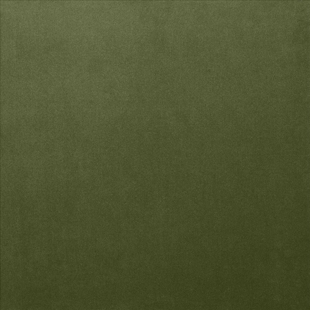 Lyndhurst Fern  by Kasmir Designer Fabric 5158 100% Polyester
 CHINA 100,000 Wyzenbeek Double Rubs Horizontal: N/A and Vertical: N/A 54  - Swanky Fabrics -