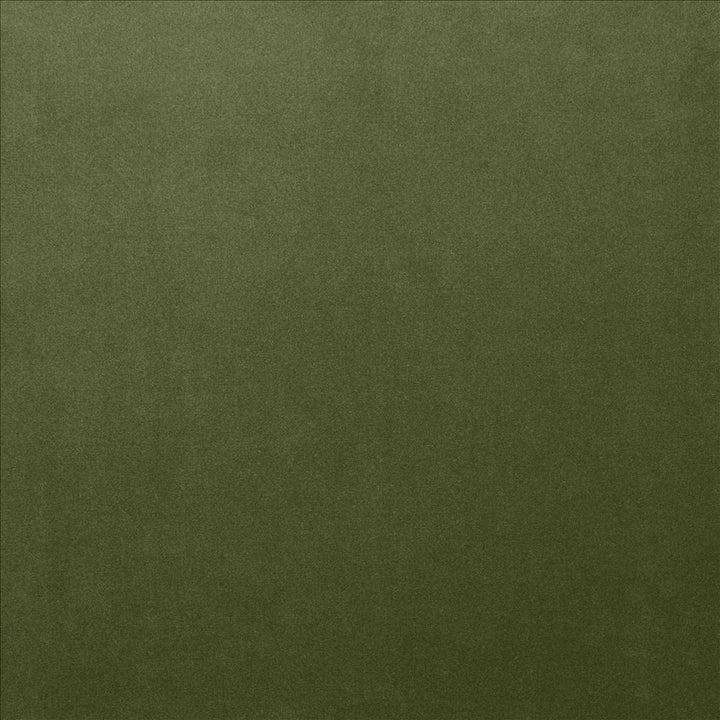Lyndhurst Fern  by Kasmir Designer Fabric 5158 100% Polyester
 CHINA 100,000 Wyzenbeek Double Rubs Horizontal: N/A and Vertical: N/A 54  - Swanky Fabrics -
