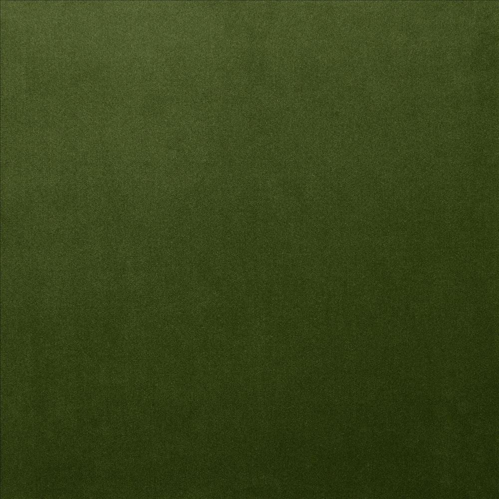 Lyndhurst Fern by Kasmir Designer Fabric 5158 100% Polyester CHINA 100,000 Wyzenbeek Double Rubs Horizontal: 0 Inches and Vertical: 0 Inches 54 - Swanky Fabrics -