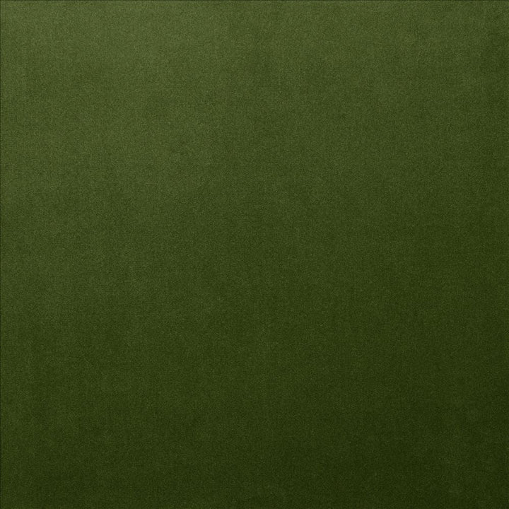 Lyndhurst Fern by Kasmir Designer Fabric 5158 100% Polyester CHINA 100,000 Wyzenbeek Double Rubs Horizontal: 0 Inches and Vertical: 0 Inches 54 - Swanky Fabrics -