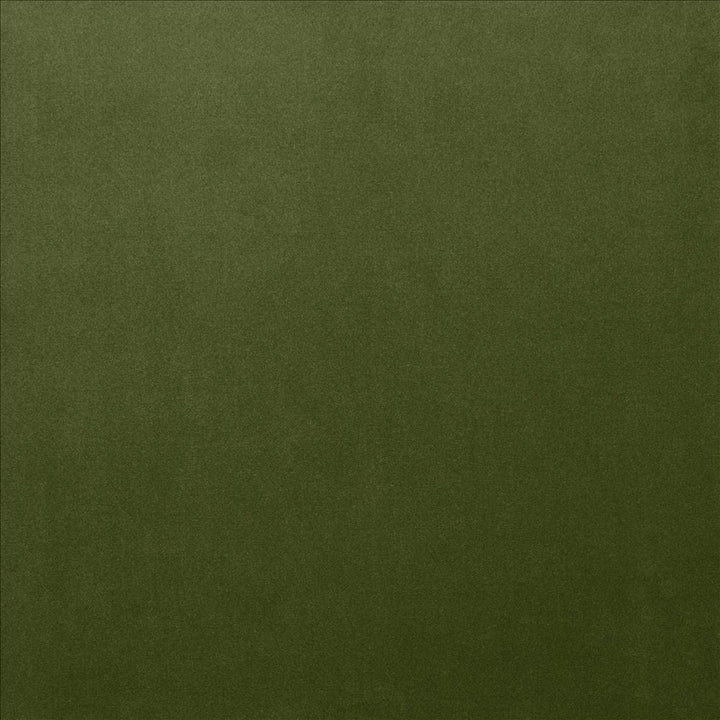 Lyndhurst Fern by Kasmir Designer Fabric 5158 100% Polyester
 CHINA </p><p>Repeat: Horizontal: N/A and Vertical: N/A 54 - Swanky Fabrics -