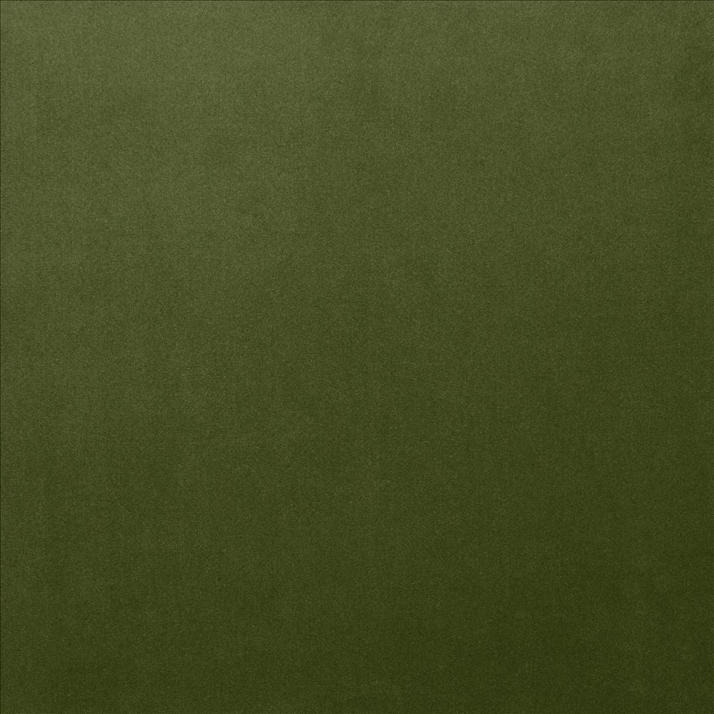 Lyndhurst Fern by Kasmir Designer Fabric 5158 100% Polyester
 CHINA </p><p>Repeat: Horizontal: N/A and Vertical: N/A 54 - Swanky Fabrics -