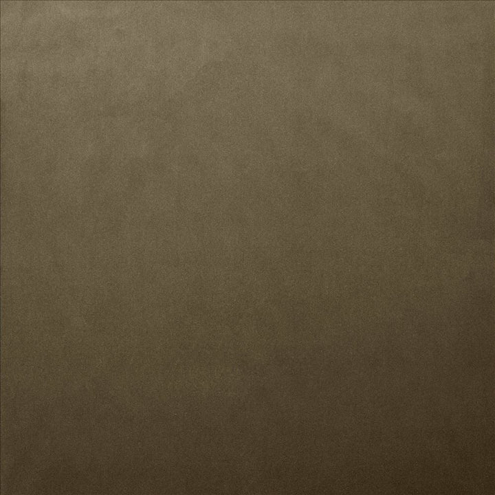 Lyndhurst Mushroom by Kasmir Designer Fabric 5158 100% Polyester
 CHINA 100,000 Wyzenbeek Double Rubs </p><p>Repeat: Horizontal: N/A and Vertical: N/A 54 - Swanky Fabrics -