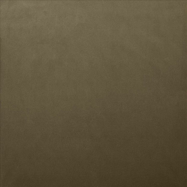 Lyndhurst Mushroom by Kasmir Designer Fabric 5158 100% Polyester
 CHINA </p><p>Repeat: Horizontal: N/A and Vertical: N/A 54 - Swanky Fabrics -