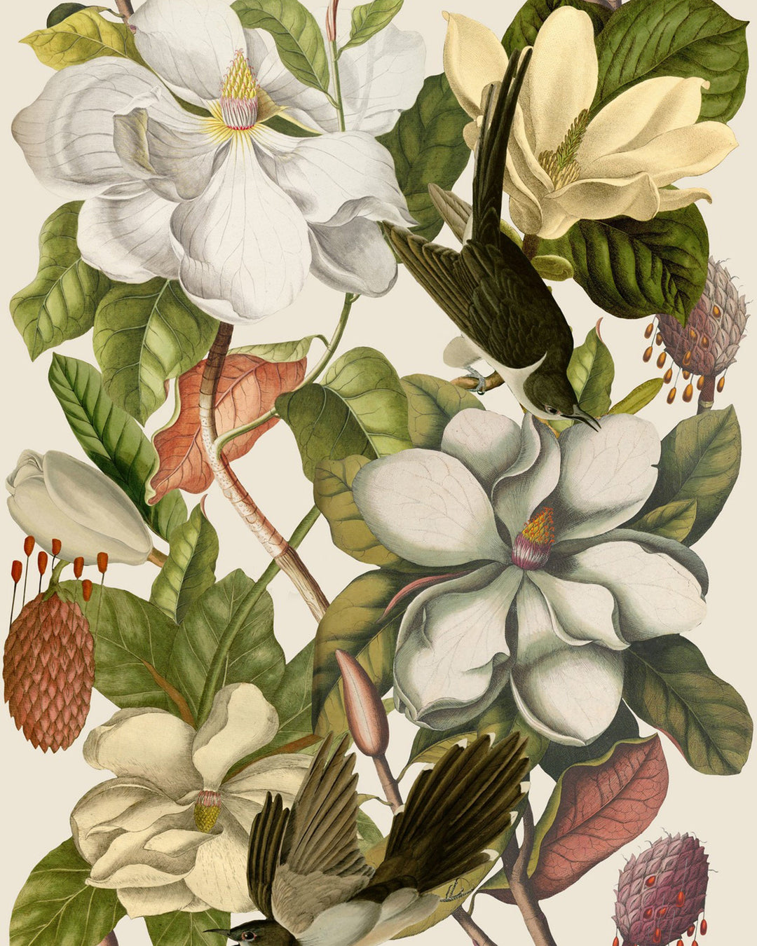 Magnolia Taupe wallpaper by Mind the Gap (WP20152), swatch