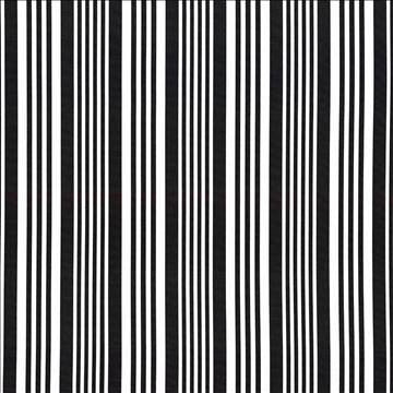 Mahina Stripe Black by Kasmir Designer Fabric 5105 100% Cotton USA 51,000 Wyzenbeek Double Rubs H: 9 inches, V: N/A 53 - 54 - Swanky Fabrics - Kasmir