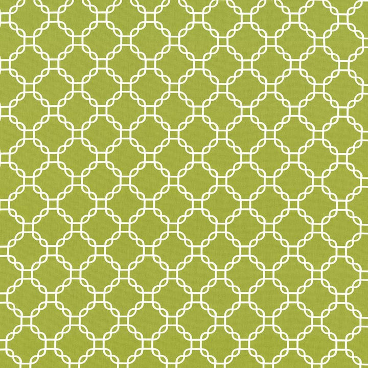 Mahina Trellis Aloe by Kasmir Designer Fabric 5107 100% Cotton
 USA </p><p>Repeat: Horizontal: 4 4/8 inches and Vertical: 4 4/8 inches 53 - 54 - Swanky Fabrics -