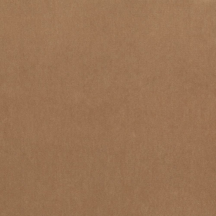 Maison Royale Camel by Kasmir Designer Fabric 1448 75% Polyester 25% Cotton CHINA 201,000 Wyzenbeek Double Rubs Horizontal: 0 Inches and Vertical: 0 Inches 54 - Swanky Fabrics -