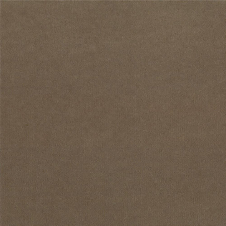 Maison Royale Driftwood by Kasmir Designer Fabric 1448 75% Polyester
25% Cotton
 CHINA 201,000 Wyzenbeek Double Rubs </p><p>Repeat: Horizontal: N/A and Vertical: N/A 54 - Swanky Fabrics -
