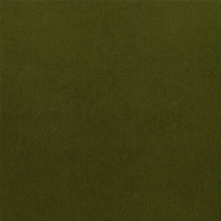Maison Royale Forest by Kasmir Designer Fabric See sample 75% Polyester
25% Cotton
 CHINA 201,000 Wyzenbeek Double Rubs </p><p>Repeat: Horizontal: N/A and Vertical: N/A 54 - Swanky Fabrics -