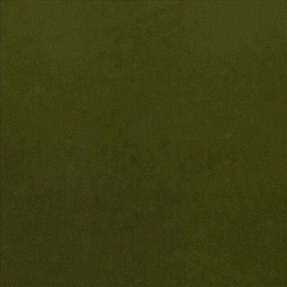 Maison Royale Forest by Kasmir Designer Fabric 1448 75% Polyester
25% Cotton
 CHINA </p><p>Repeat: Horizontal: N/A and Vertical: N/A 54 - Swanky Fabrics -