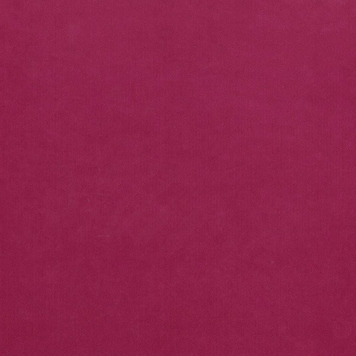 Maison Royale Magenta by Kasmir Designer Fabric 1448 75% Polyester
25% Cotton
 CHINA </p><p>Repeat: Horizontal: N/A and Vertical: N/A 54 - Swanky Fabrics -