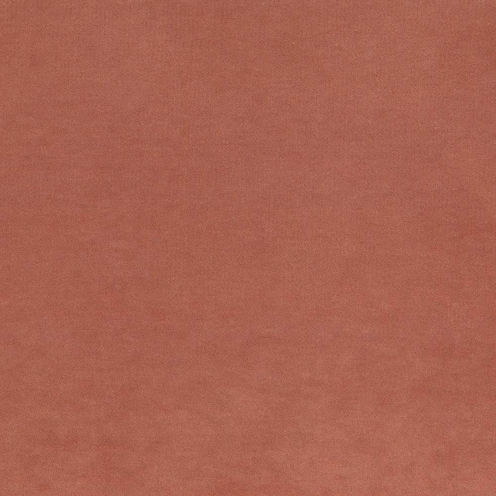 Maison Royale Nectar by Kasmir Designer Fabric 1448 75% Polyester
25% Cotton
 CHINA </p><p>Repeat: Horizontal: N/A and Vertical: N/A 54 - Swanky Fabrics -