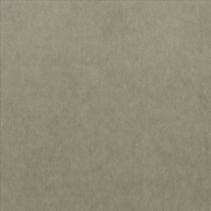 Maison Royale Platinum by Kasmir Designer Fabric 1448 75% Polyester 25% Cotton CHINA 201,000 Wyzenbeek Double Rubs Horizontal: 0 Inches and Vertical: 0 Inches 54 - Swanky Fabrics -