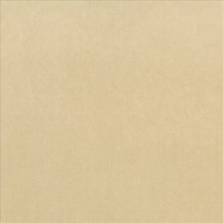 Maison Royale Sand by Kasmir Designer Fabric See sample 75% Polyester
25% Cotton
 CHINA 201,000 Wyzenbeek Double Rubs </p><p>Repeat: Horizontal: N/A and Vertical: N/A 54 - Swanky Fabrics -