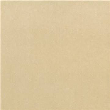 Maison Royale Sand by Kasmir Designer Fabric 1448 75% Polyester 25% Cotton CHINA 201,000 Wyzenbeek Double Rubs H: N/A, V: N/A 54 - Swanky Fabrics - Kasmir