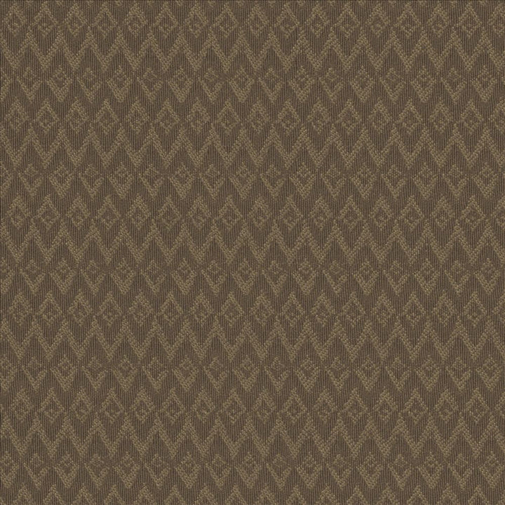 Makai Cocoa by Kasmir Designer Fabric 5101 100% Polyester CHINA 15,000 Wyzenbeek Double Rubs Horizontal: 4/8 inches and Vertical: 1 inches 54 - 55 - Swanky Fabrics -
