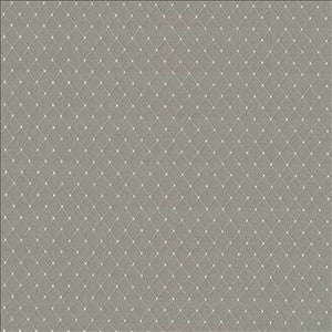Kasmir Fabric Martinez Feather