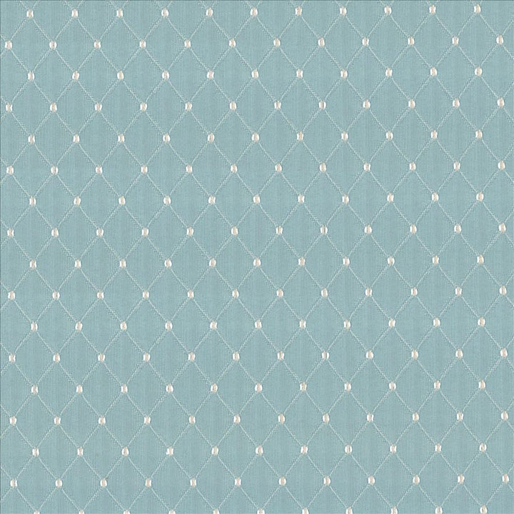Martinez Vapor  by Kasmir Designer Fabric 5089 100% Polyester
 CHINA 30,000 Wyzenbeek Double Rubs Horizontal: 6/8 inches and Vertical: 1 2/8 inches 54  - Swanky Fabrics -