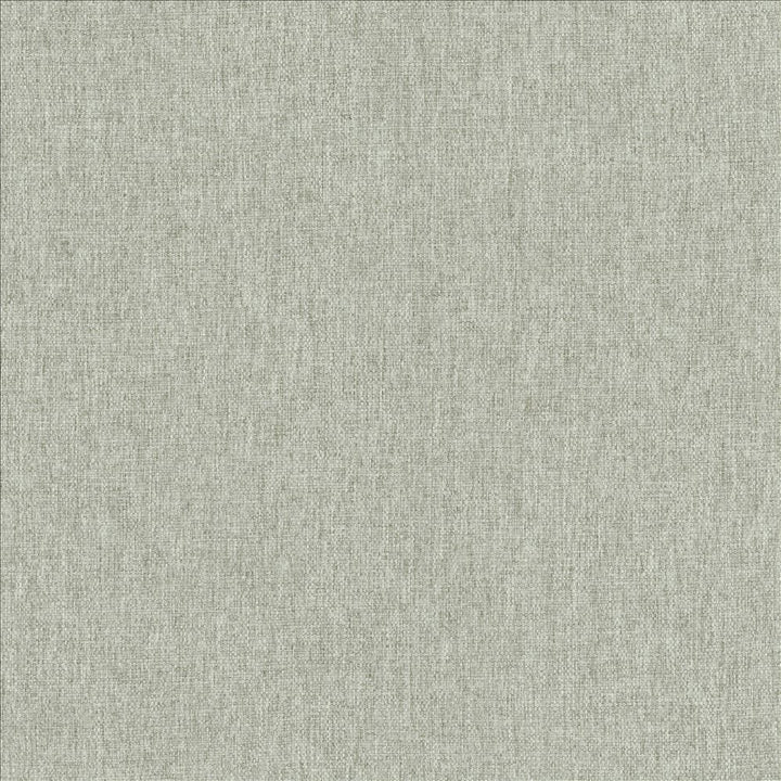 Mateo Dew by Kasmir Designer Fabric 5165 100% Polyester
 INDIA </p><p>Repeat: Horizontal: N/A and Vertical: N/A 54 - Swanky Fabrics -