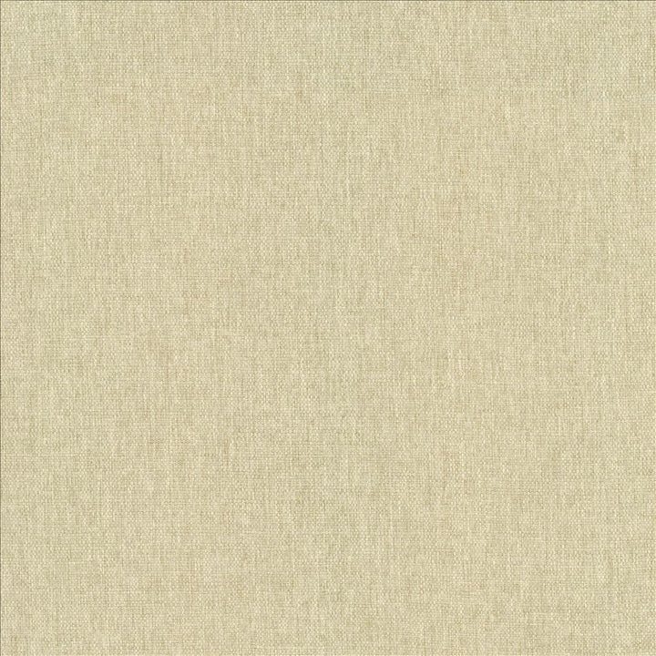 Mateo Muslin by Kasmir Designer Fabric 5165 100% Polyester
 INDIA 55,000 Wyzenbeek Double Rubs </p><p>Repeat: Horizontal: N/A and Vertical: N/A 54 - Swanky Fabrics -