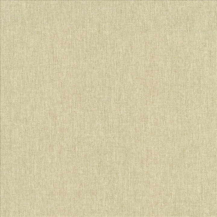 Mateo Muslin by Kasmir Designer Fabric 5165 100% Polyester
 INDIA </p><p>Repeat: Horizontal: N/A and Vertical: N/A 54 - Swanky Fabrics -