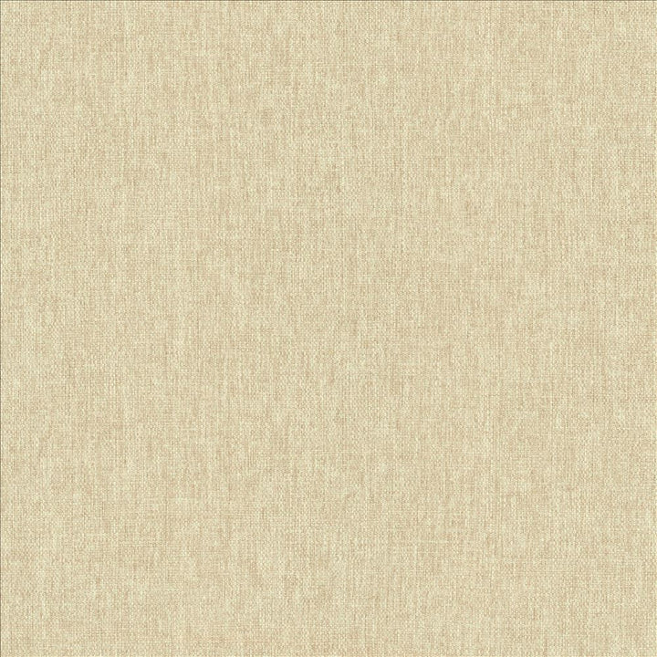 Mateo Sand by Kasmir Designer Fabric 5165 100% Polyester
 INDIA 55,000 Wyzenbeek Double Rubs </p><p>Repeat: Horizontal: N/A and Vertical: N/A 54 - Swanky Fabrics -