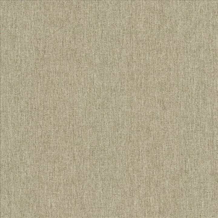 Mateo Seal by Kasmir Designer Fabric 5165 100% Polyester
 INDIA </p><p>Repeat: Horizontal: N/A and Vertical: N/A 54 - Swanky Fabrics -