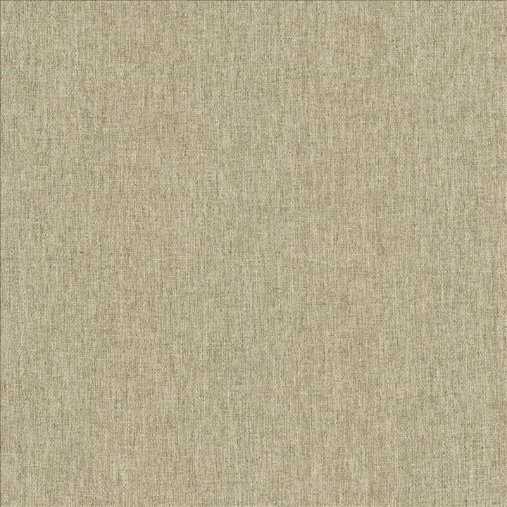 Mateo Seal by Kasmir Designer Fabric 5165 100% Polyester
 INDIA 55,000 Wyzenbeek Double Rubs </p><p>Repeat: Horizontal: N/A and Vertical: N/A 54 - Swanky Fabrics -