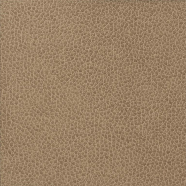 MATTER.1611 by Kravet Basics Designer Fabric our website for purchase 100% Leather China Heavy Horizontal: see sample and Vertical: see sample 54 inches - Swanky Fabrics -