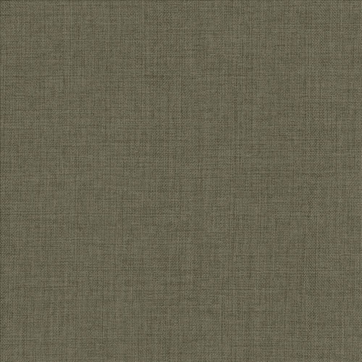Maura Ash by Kasmir Designer Fabric 5165 100% Polyester
 TURKEY Not Tested </p><p>Repeat: Horizontal: N/A and Vertical: N/A 57 - Swanky Fabrics -